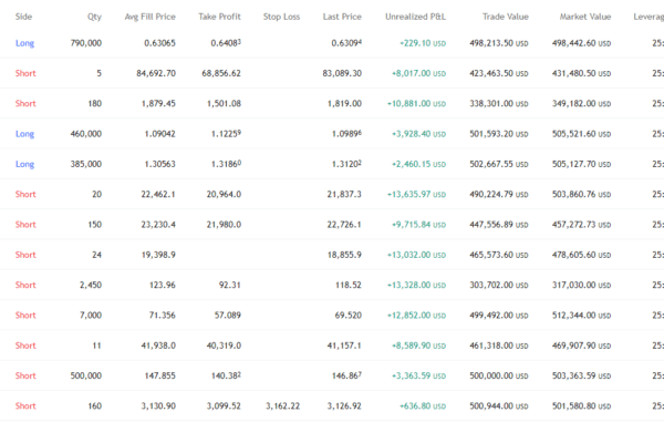 The Leap Pnl TradingView