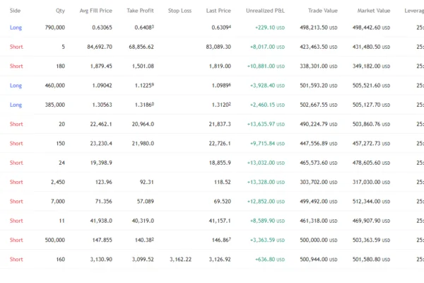The Leap Pnl TradingView